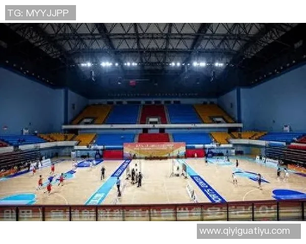 今年运动数据重庆篮球队的运营揭秘与深度分析探索篮球产业的未来发展之路