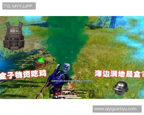 世界杯新闻对话张秀英：探索和平精英背后的成长与挑战之路